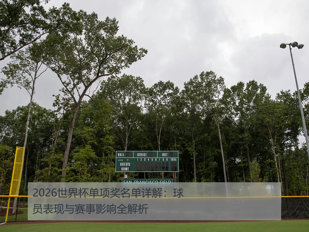 2026世界杯单项奖名单详解：球员表现与赛事影响全解析